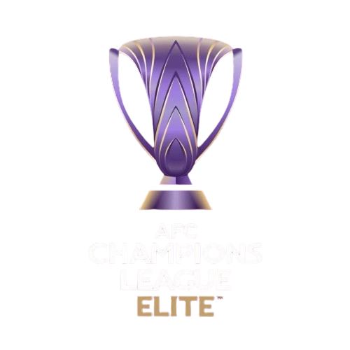 亚冠二级赛 麦克阿瑟FCvs河内公安20251106